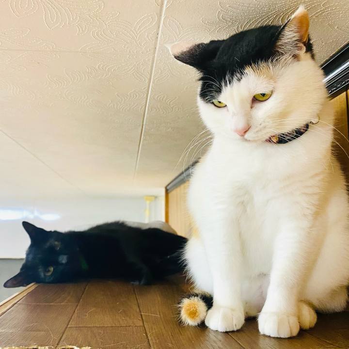 A2574875 6d5e 40cd 9224 d5f67693ed82 1685453702915