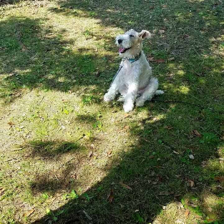 A2575db7 43aa 4150 b1b5 30f1e33e5c83 1539489754449