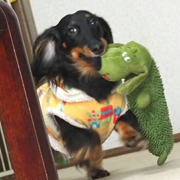 A2575e20 653e 42e8 b3a4 5c46e4e79a2d 1519784590076