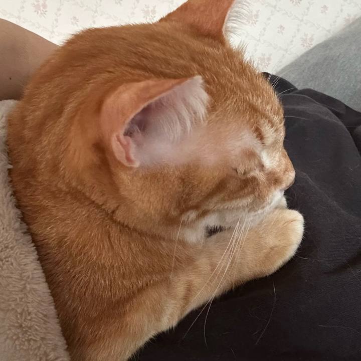 A25774a1 c552 46e1 a790 379239a4f5f3 1685047528241