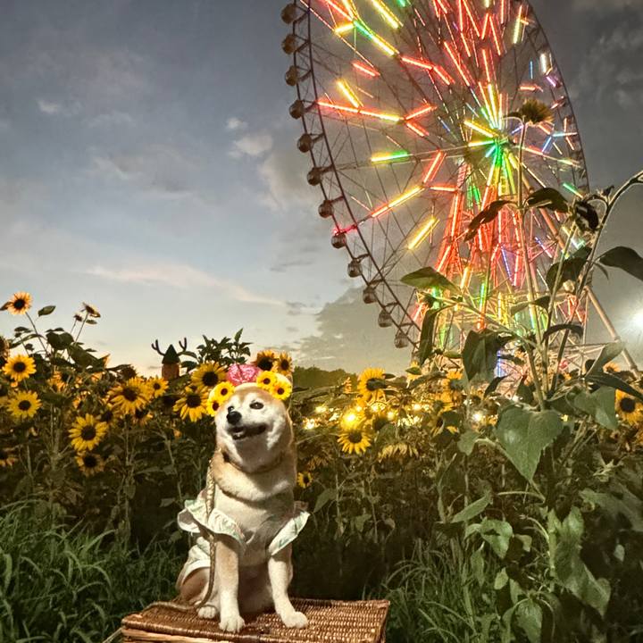 A2577d43 bd0b 4f50 8cf6 710129936cf7 1723461672189