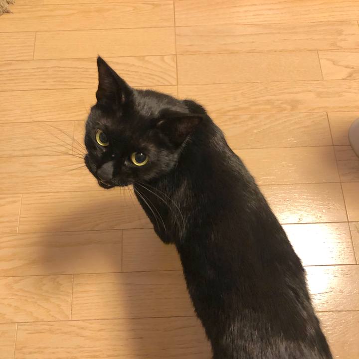 A2577f92 0228 474d b31c feffbb6d744c 1555251749599