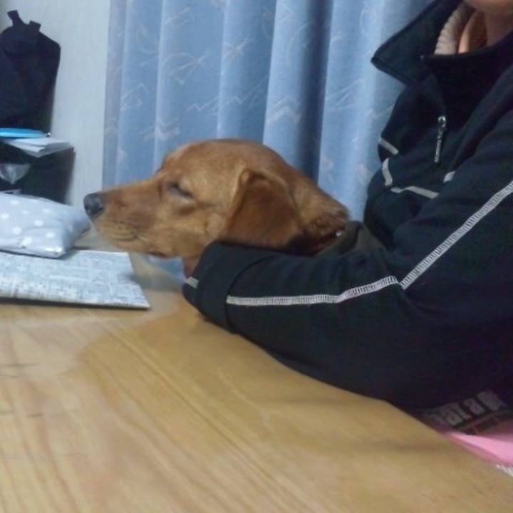 A257a448 1219 4e0b b4c8 6a71ec4def6f 1519132946309