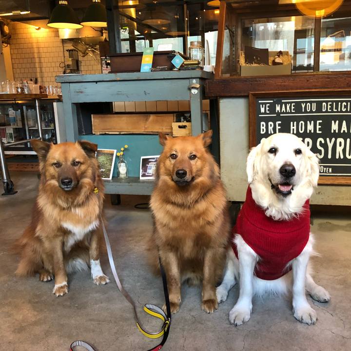 A257d294 81b3 4a85 ae67 1ff04ba88fc4 1519016830861