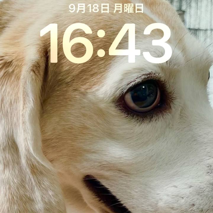 A257f08d aa3b 4622 996a 7eb2d9c456a0 1695023052402