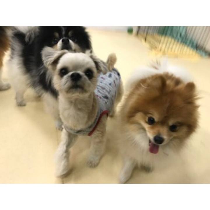 A2580b6c c2ec 42f7 9996 5e82af346f60 1550571519786