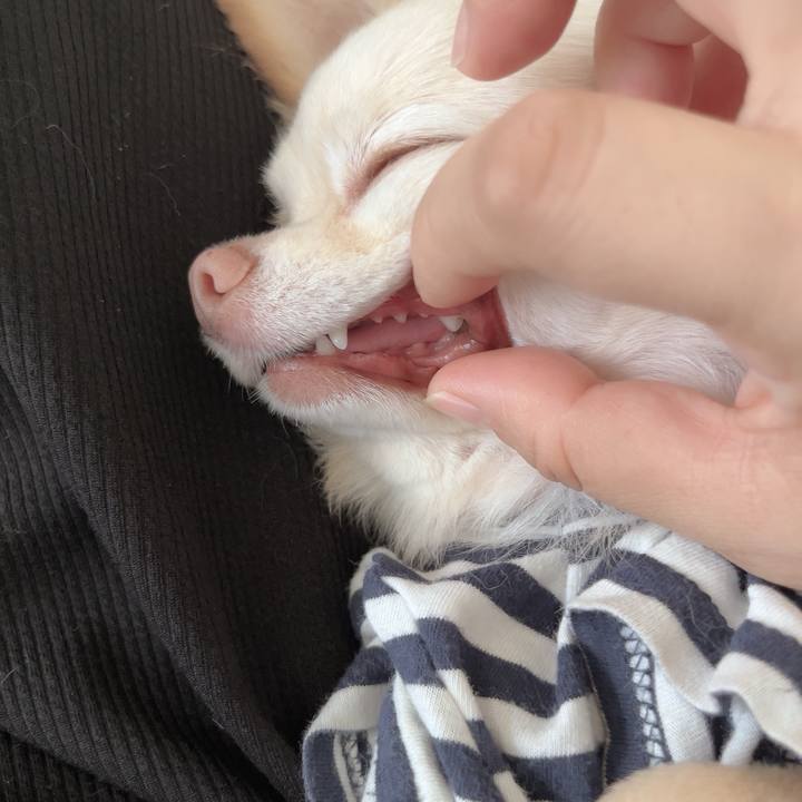 A25817e1 6774 4b9f bab5 e0f8875d3247 1727601134008