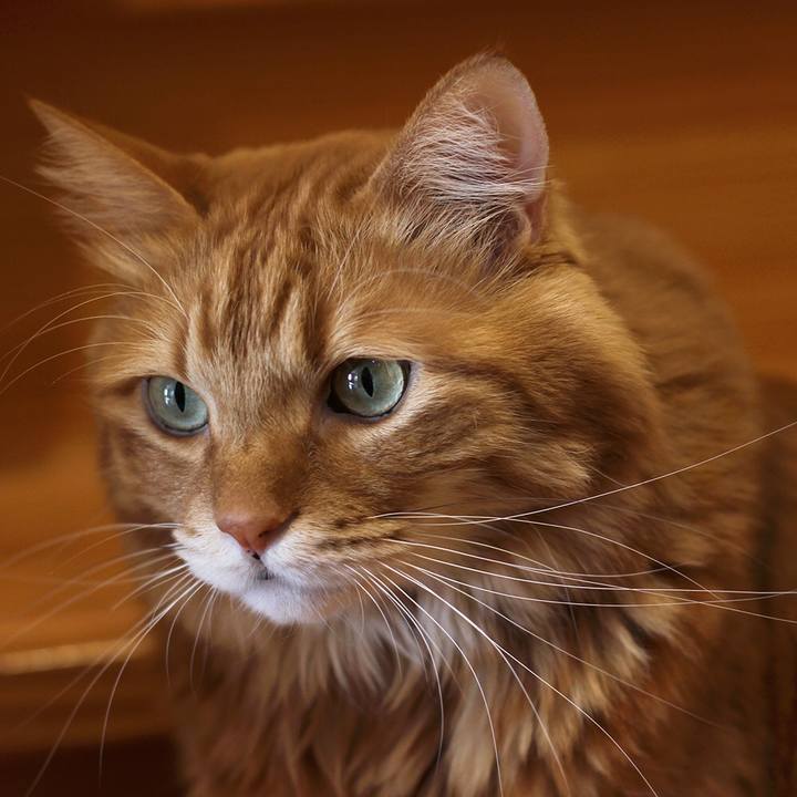 A2585676 c834 402c b5e5 d7f1c8cdf06f 1515767473214