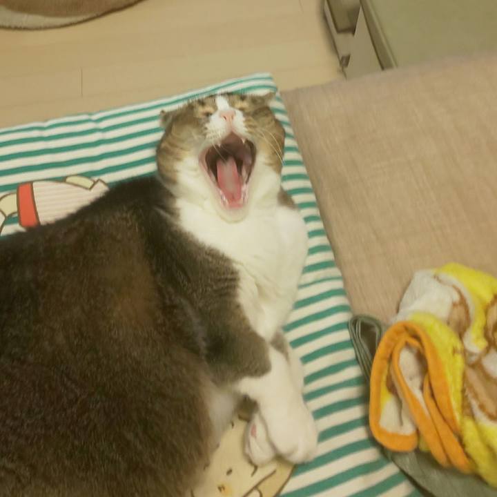 A258906e d61c 41f5 95ac 39cd71c6ded6 1763565904673