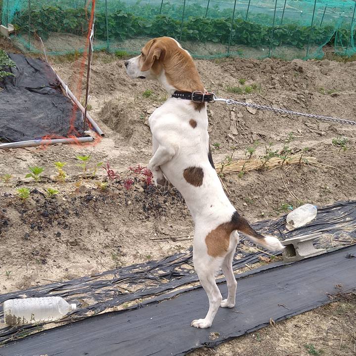 A2591267 0b0f 405c a1c9 b7f5983f1eca 1622703076547