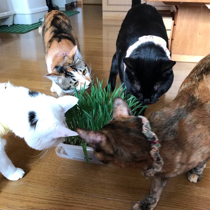 A25933d2 1791 4910 9e56 3386a673c82a 1643247465503