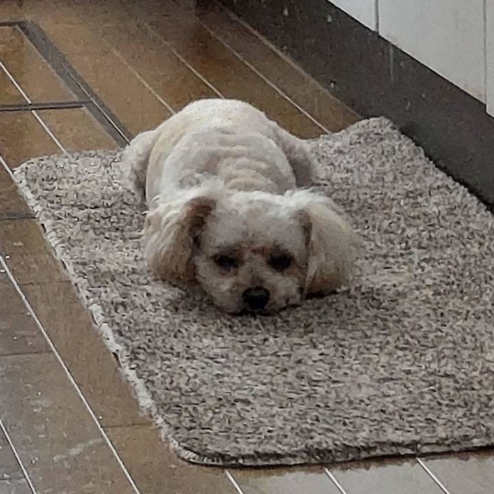 A2593e2b 33f2 4c03 bc1f c1e4b184eaf3 1660098590478