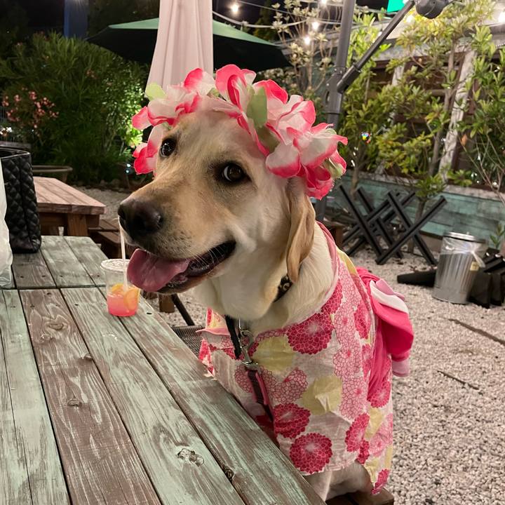 A25940d8 57df 47d1 96d0 73ccd58528de 1654356136214