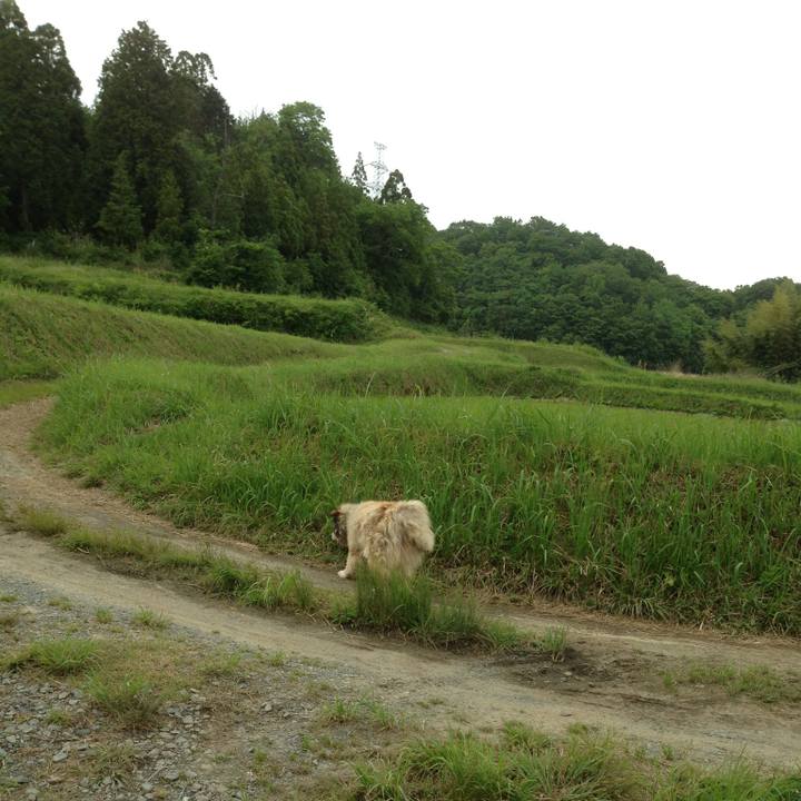 A2598d0d d03d 4108 b031 8f69e29b3471 1609736534419