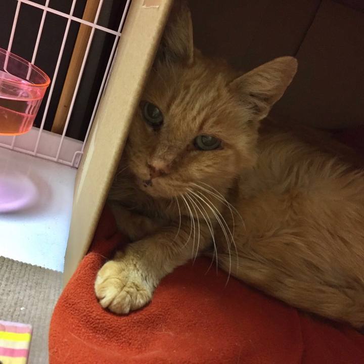 A2599a6c 51f0 4d41 abdb 9b8104382e49 1608778073793