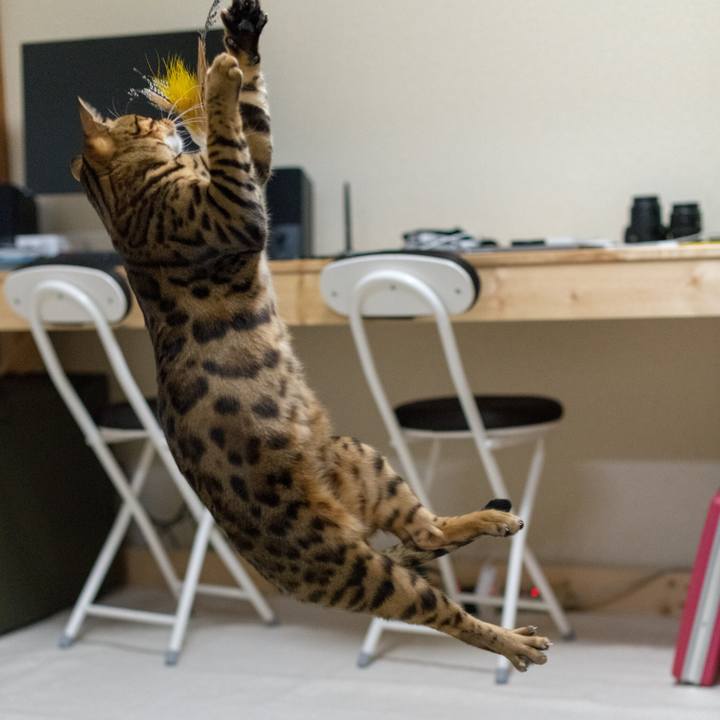 A259b8ea 268c 4f5c ae58 135b1ae0dc7b 1518961926008