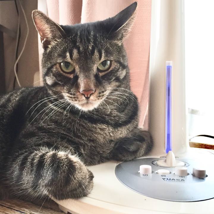 A259f9e4 4d9c 4e2b 9174 d3e045a8bab6 1534054706443