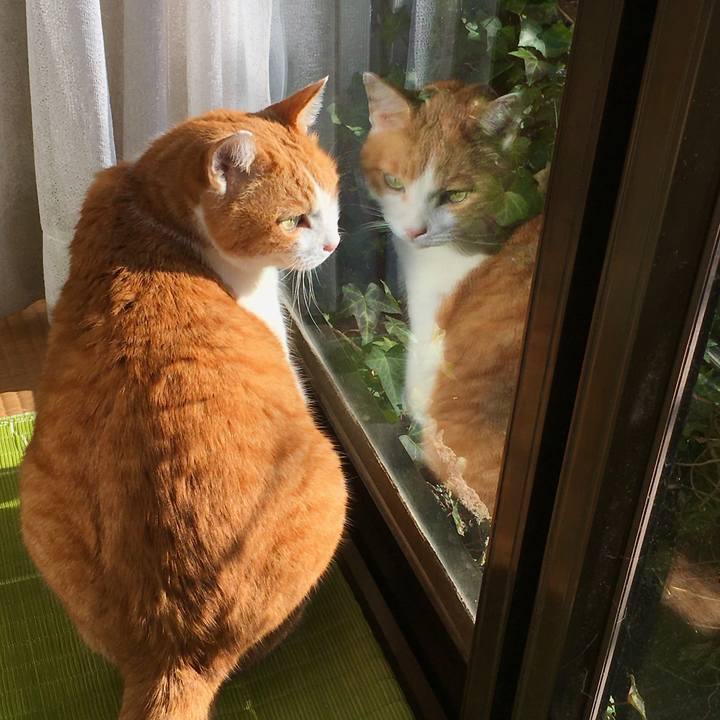 A25a103f 215e 4cc2 b9a7 df55c8c2a4f6 1612769012588