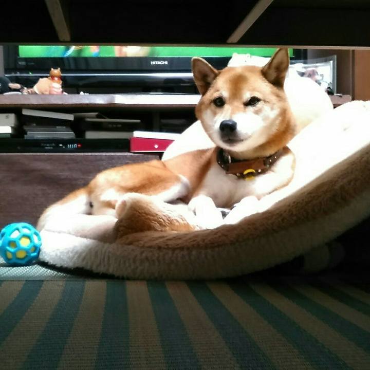 A25a361d 3517 439d ab5b da7c3917f238 1571576760722