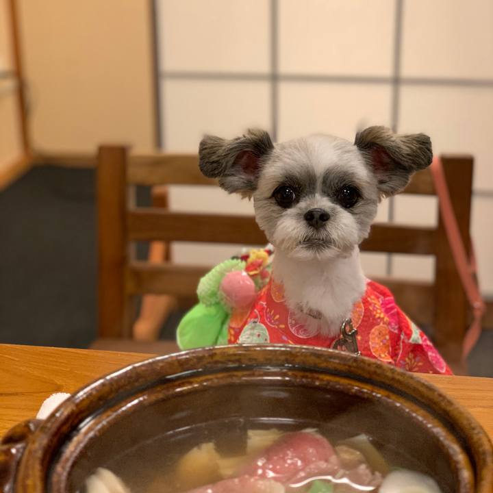 A25a50f5 79c7 4923 b9d5 63468d3596a9 1564148357448