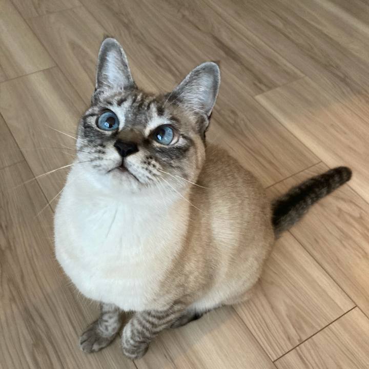 A25a5cf0 7fd9 4f9e 9318 c20c74af7af8 1609723660493