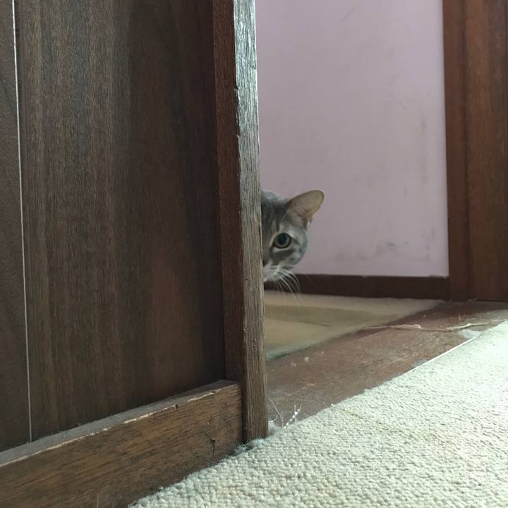 A25a7d7e 4bb3 4daf 927b decd548da4e6 1585216177569