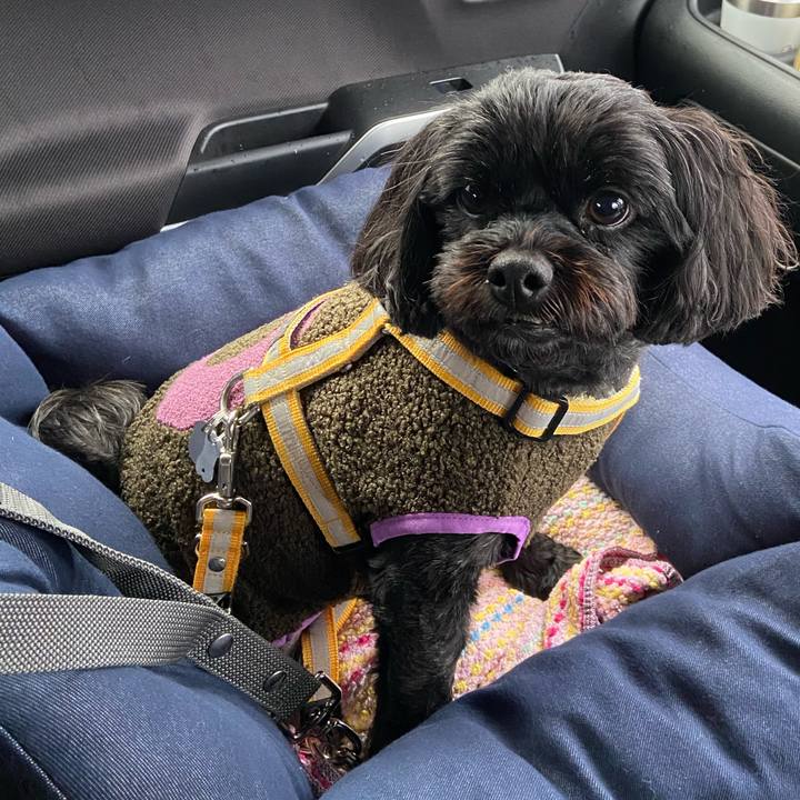 A25ac8d7 115f 4765 80d0 5ca5aa84fd83 1609551014126