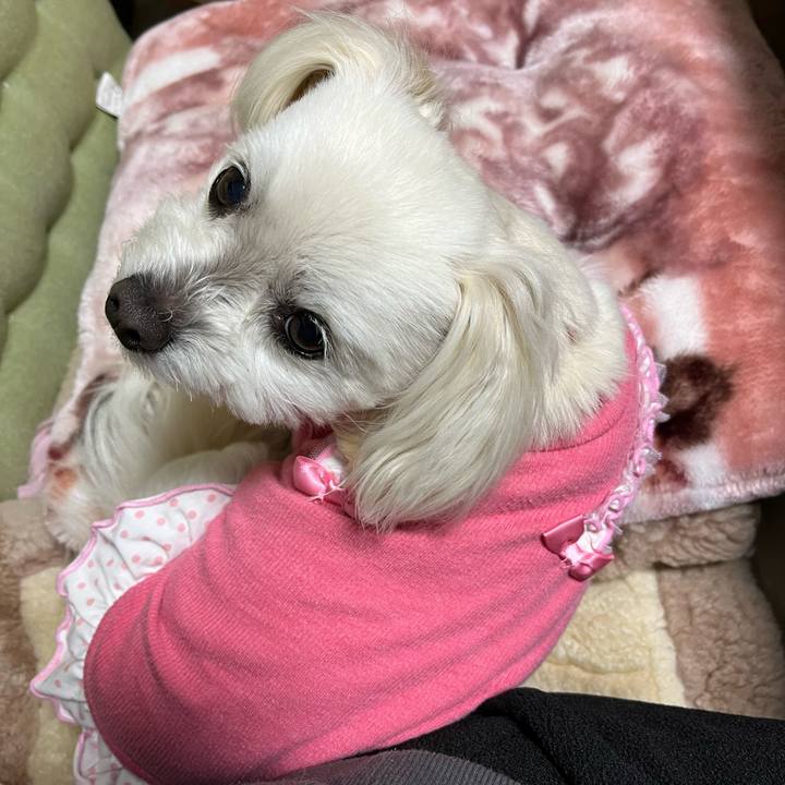 A25adaf4 4df8 48c8 af41 aebbf409fcb7 1679809347455