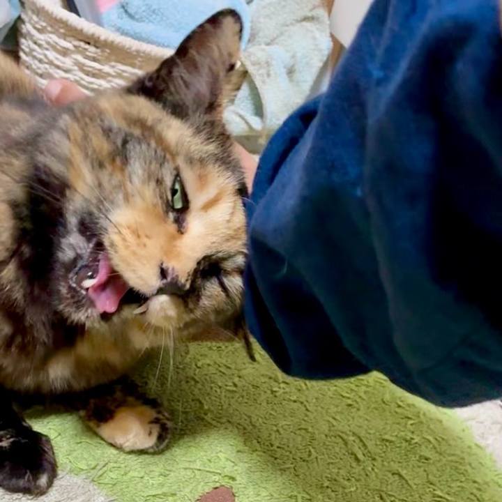 A25b2a11 6ed2 42a7 b5fc 817acc3eb950 1748261443130