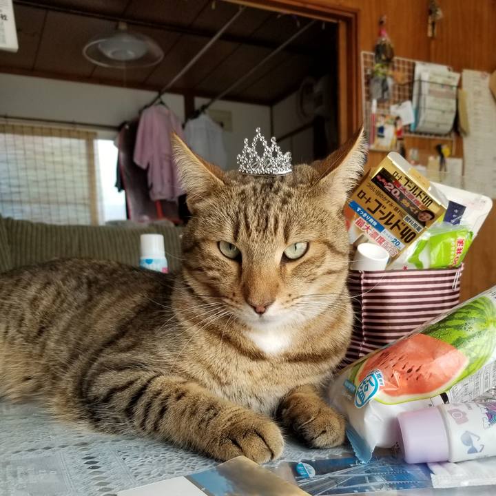 A25b3cc0 4a13 4fdc b99a be08108e1ebd 1628250501678