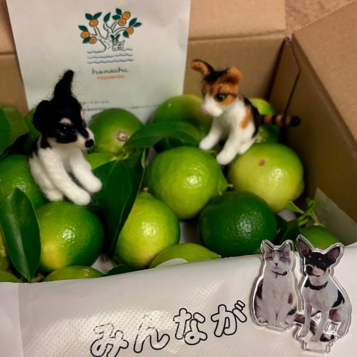 A25b6522 da84 417d a47f f9fbb7917b76 1756295070815