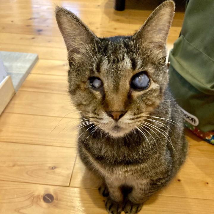 A25b689a e6c7 4036 863e 4e359625cbb7 1663971244108