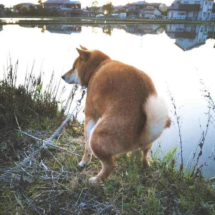 A25b936b 8d6f 4516 988f c6d7b9cc6a89 1526031993598