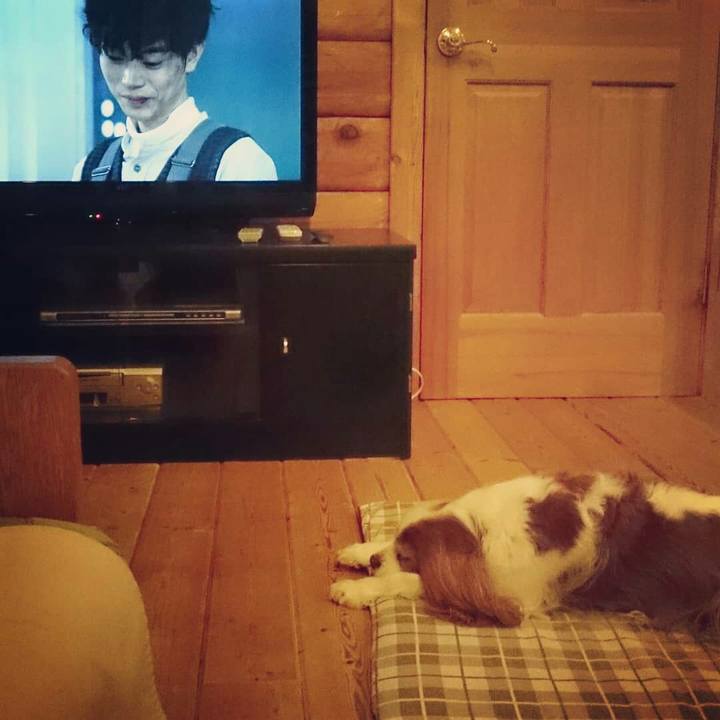 A25b9805 297a 4698 85fa 05876aee76df 1548631603158