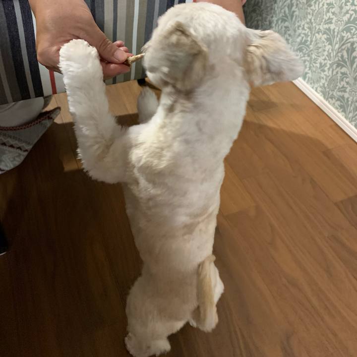 A25bbd5d 91c9 4e67 8f4e 1737721d3b91 1617025479863