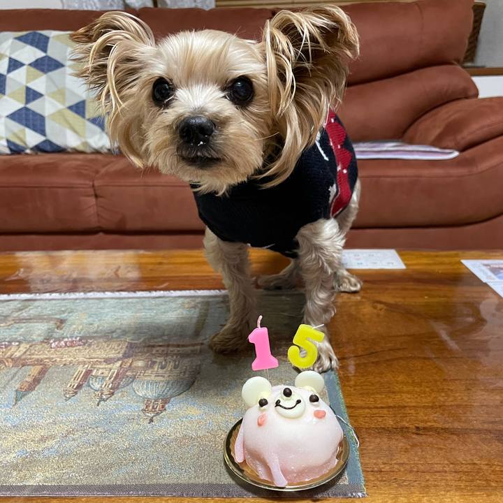 A25bca6f 7bc6 45d2 9d30 ee96b961d8ff 1610445094711