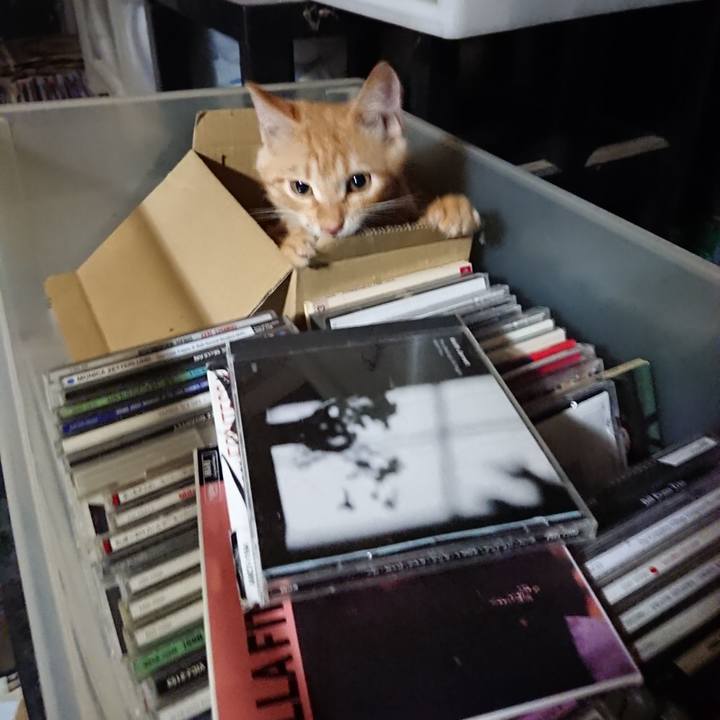 A25bd8ad 2ad4 43a9 81b0 98d8ad20ce99 1633003998453