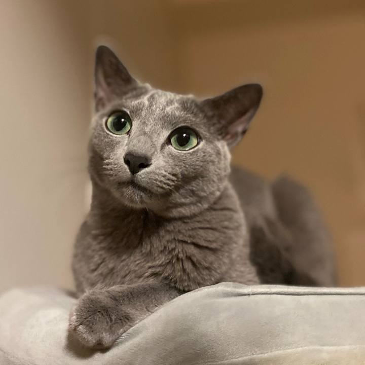 A25bdb94 a90a 4bbd b75a bd99df807dd4 1664710109334