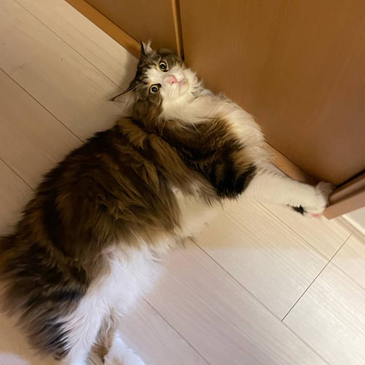 A25bfa4c eb14 4e70 a785 6cfedb8ca4ee 1705866005958