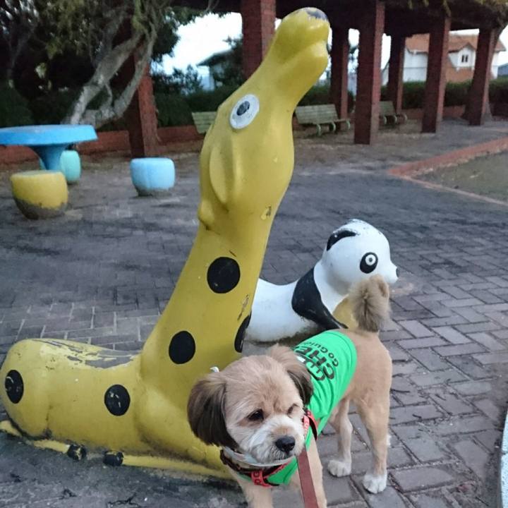 A25c1e08 d9ba 4d64 a678 48478e64fb9d 1512946807197