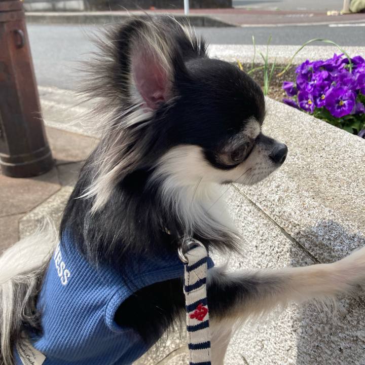 A25c2e9b c9a6 4d25 b4b1 930dc0a13c10 1616216207176