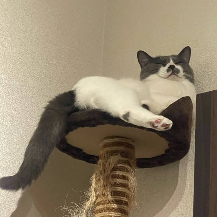 A25c368b 398c 4bf7 95fd 77d55465b961 1751990368394