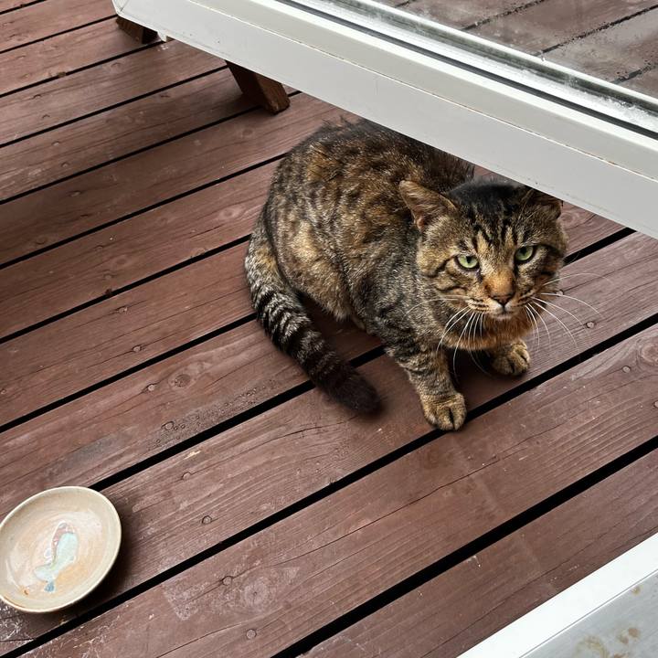 A25c3de0 7077 4674 806e 4ce8339855bc 1721943121826