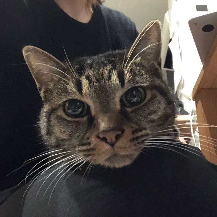 A25c636d 10f2 4584 8088 d92e4af66725 1574695171047