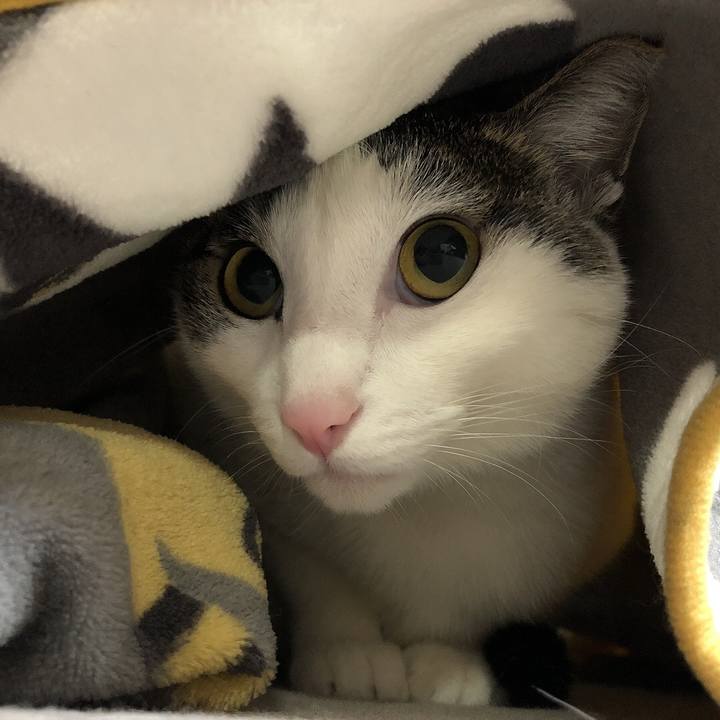 A25c6b95 6e6f 43c9 a6a9 de8fcc6013e8 1642591201179