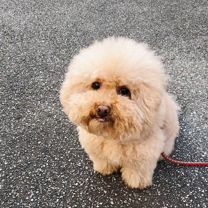 A25c8f69 6953 4a43 9585 4ae234dd0e49 1518578725007