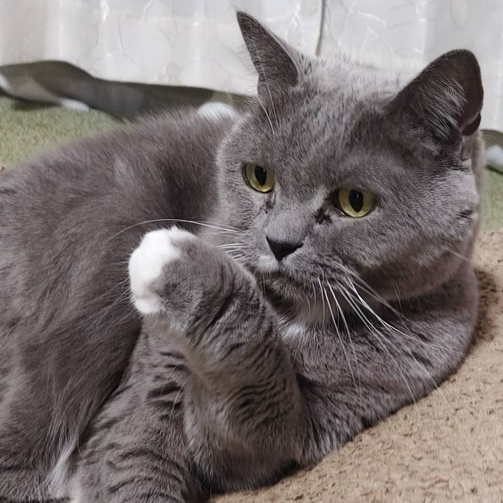 A25cb064 a647 4e0e ad79 e8f03a831113 1766057944922