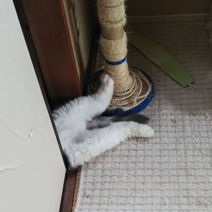 A25cb4a8 0575 4e97 9f6c 4d2ac6b98323 1632116774549