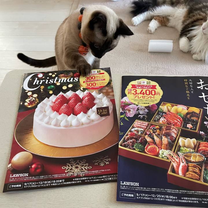 A25cd580 a251 454e bfa9 8b455656f33c 1728194400039