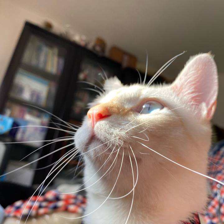 A25d01cb ed84 44cb b948 1bd122537657 1602913107053